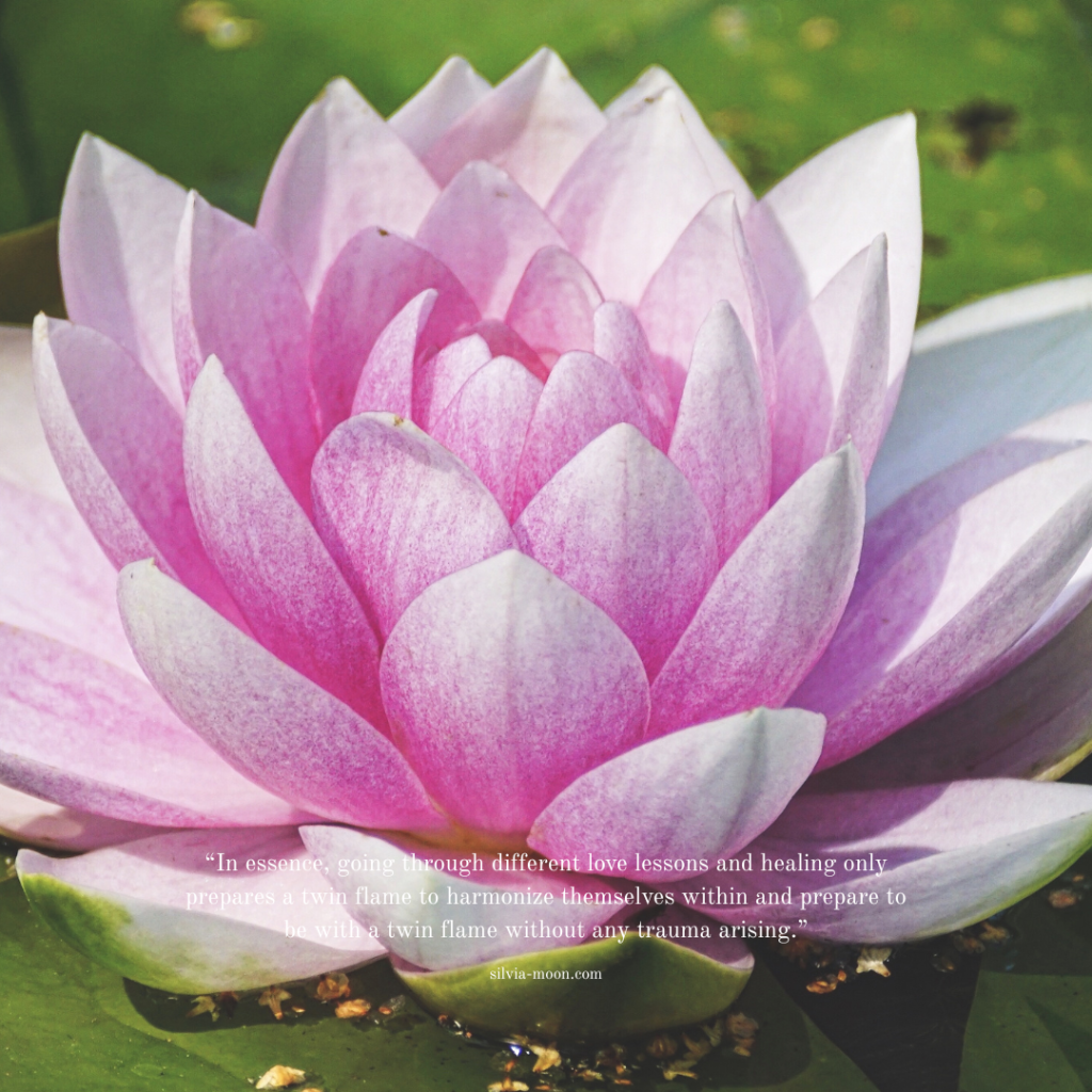 Transformative Journey: Healing Trauma in Twin Flame&nbsp;Relationships