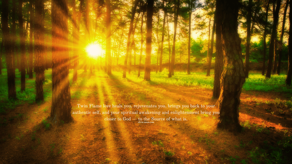 Navigating the Unexpected Encounter with Your Twin&nbsp;Flame